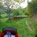 DSCN5094