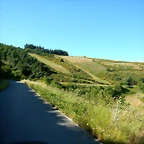 DSCN2398