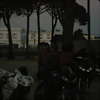 SARDINADA 004