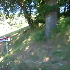 DSCN4546