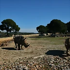 La Barben febrer 2011 617