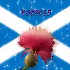 BANDERA ESCOCIA