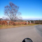 DSCN1464