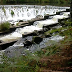 DSCN5795