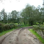 DSCN5815