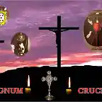 lignum crucis