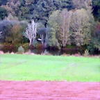DSCN5382