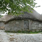 DSCN3305