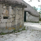 DSCN3316