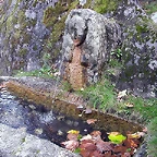 DSCN3308