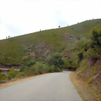 DSCN9871