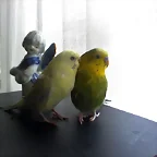 lindos