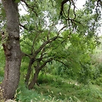 IMG_20180526_110842_HDR