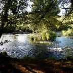 DSCN9737