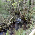 DSCN0724