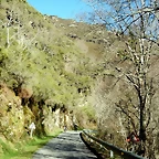 DSCN3655