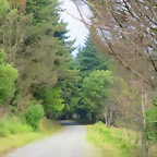 55-IMG_2242