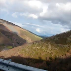 DSCN8523