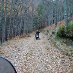 DSCN9595
