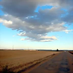 DSCN8079