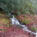 DSCN0709