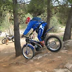 Trial017