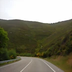DSCN6551