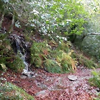 DSCN0675