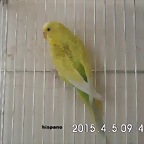 CIMG0885