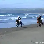 Una pareja de gringos disfrutan de una cabalgata a la orilkla de la Playa San Antonio, de Pichilemu.