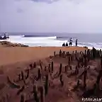 Punta de Lobos y sus olas son conocidas mundialmente por sus excelentes condiciones para el Surf.