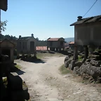 DSCN7869