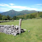 DSCN8323