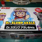 DSCN6295