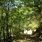 DSCN6661