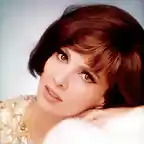 gina-lollobrigida-1960s-everett