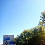 DSCN2946