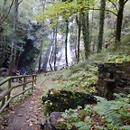 DSCN8735