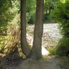 DSCN5347