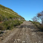 DSCN6830