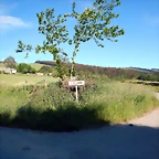 DSCN2399