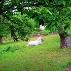 014-IMG_1568