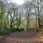 DSCN7223