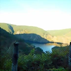 DSCN1061