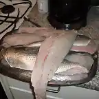 PESCADILLAS 002