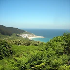 DSCN6761
