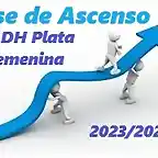 FaseAscensoD1NF a DHPF 2024