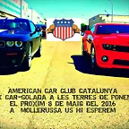 16 cartell