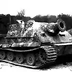 Sturmtiger_2