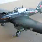 IL2 para Yoryi 005